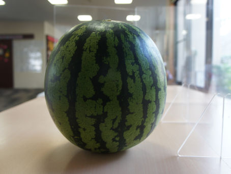 『夏の風物詩』🍉 デイサービスセンターえがお