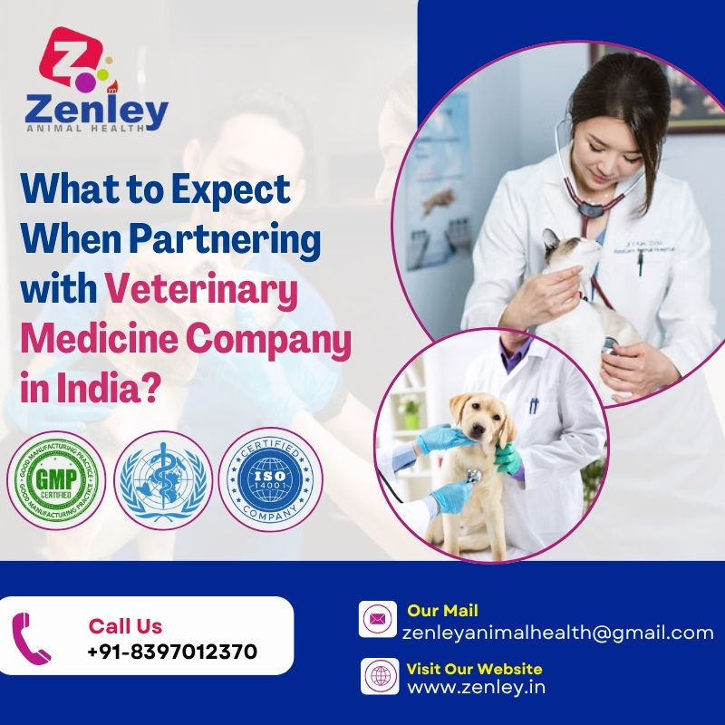 What to Expect When Partnering with Veterinary Medicine Company in India?