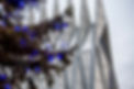 4954757.jpg