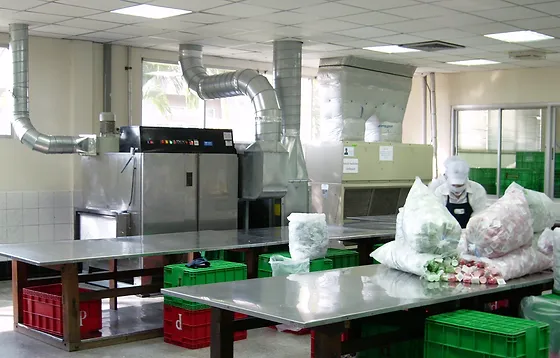 Food Processing Gasea