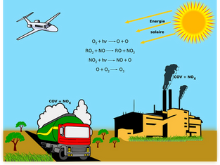 How Will CARB (California Air Resources Board) Change the Future of Transportation?