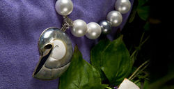 Pearls and Nautilus Shell