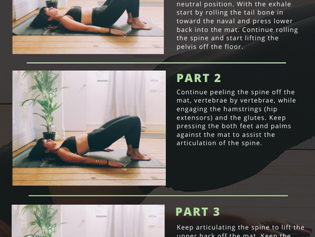 Let's Talk About The Pelvic Curl!