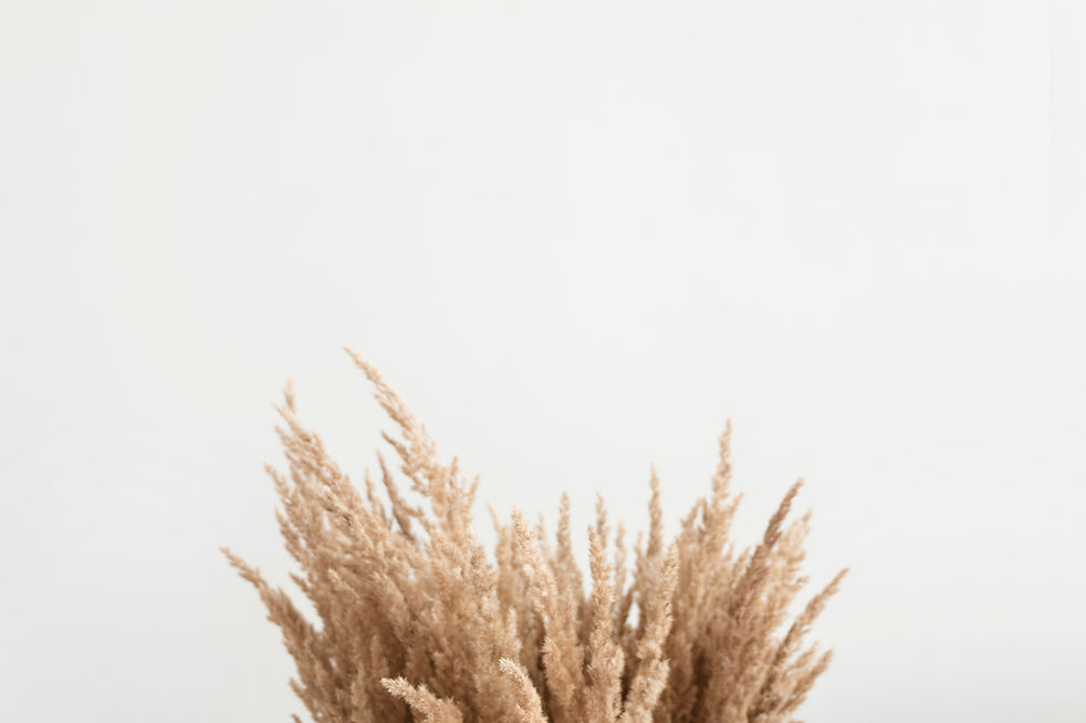 katsia-jazwinska-KCFe1GLKdpg-unsplash.jpeg
