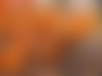 🍁Fall in Love with Pumpkin Season🎃