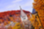 Going Up to Mont Royal