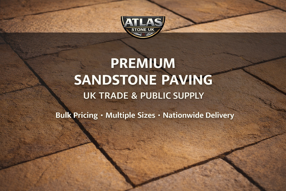 ChatGPT Image Feb 10, 2026, 03_28_34 PM.png