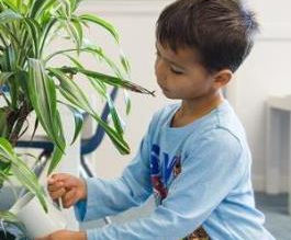 The Importance of a Simple Environment