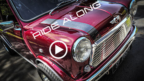 Duchess the Mini.jpg