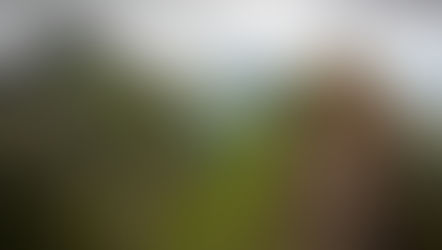 השוואת כיסויים מורחבים לביטוח נסיעות תרמילאים: יתרונות, מחירים והמלצות