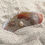 Thumbnail: Seashell
