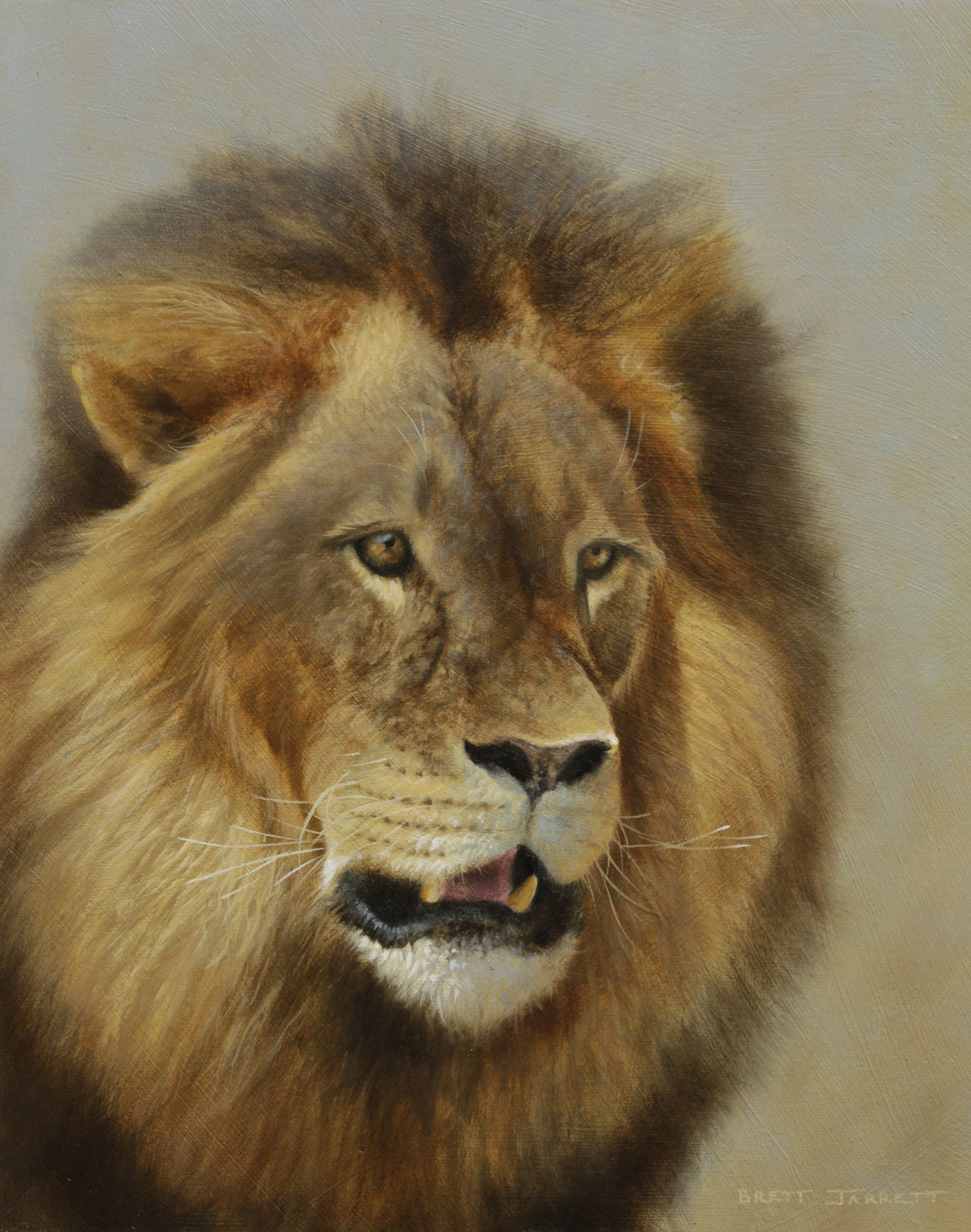 Lion