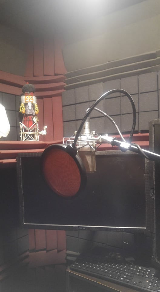Microphone and DAW/Video Playback Monitor