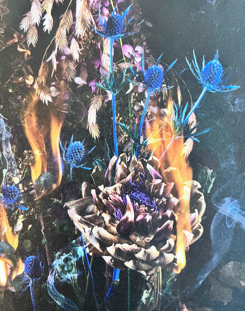 Hopfen, Halloween & Hühnerhaut PART II