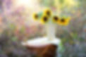 sunflowers-1719119_1920.jpg