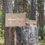 Miniaturbild: Route "historisches Zichtau"