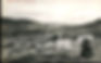 Defamation & the Protection of Public Participation Act (BC): Hamer-Jackson v. Neustaeter, 2026 BCSC 155