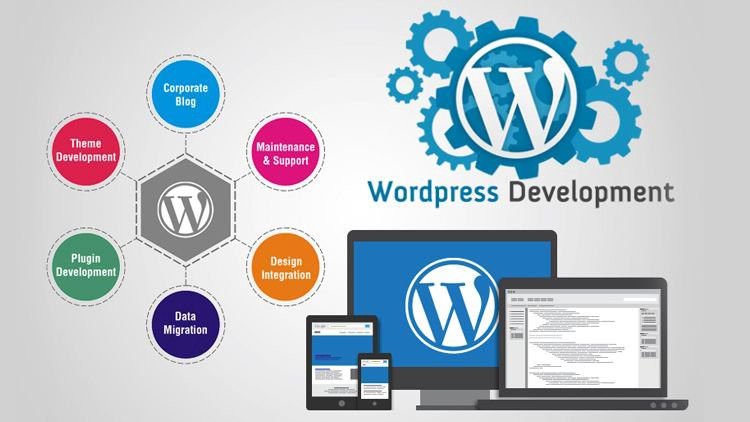  WordPress website design