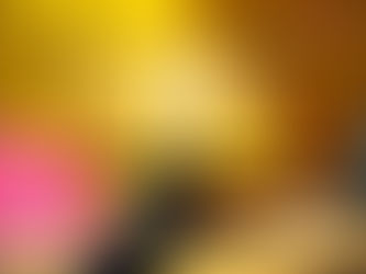 How Much Should a Website Cost to Develop in 2026? Complete Pricing Guide