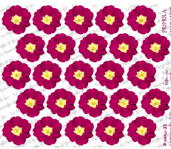 Miniatura: PANNELLO SMALL PRIMULE E FIORI