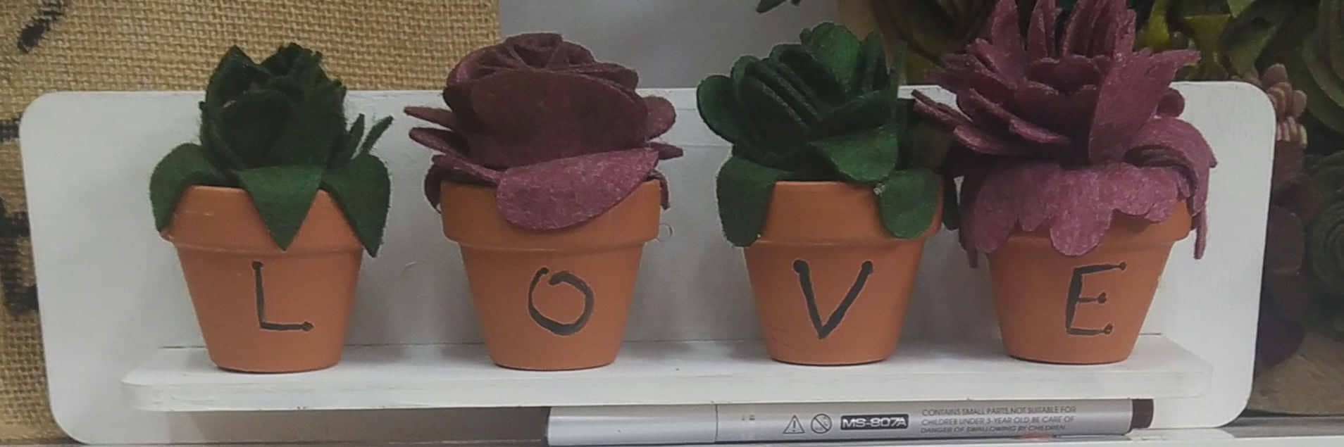 kit mensola piantine grasse