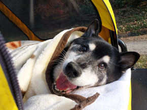 美秀たん、ありがとう