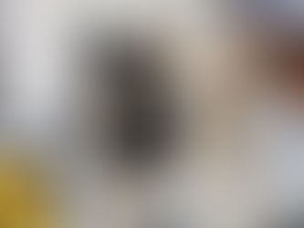 新しい家族を迎えたら、預け先探し!