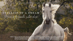 Stallion of a Dream: California & The Camarillo White Horse