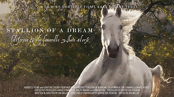 Stallion of a Dream: California and the Camarillo White Horse