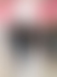 The Canary in the Corporate Mine: Why Ownership is the Only Safe Harbor