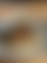 The Tire Factory Standard: Why the Michelin Star is a False North Star