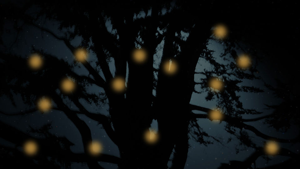 Tree_Memory.jpg