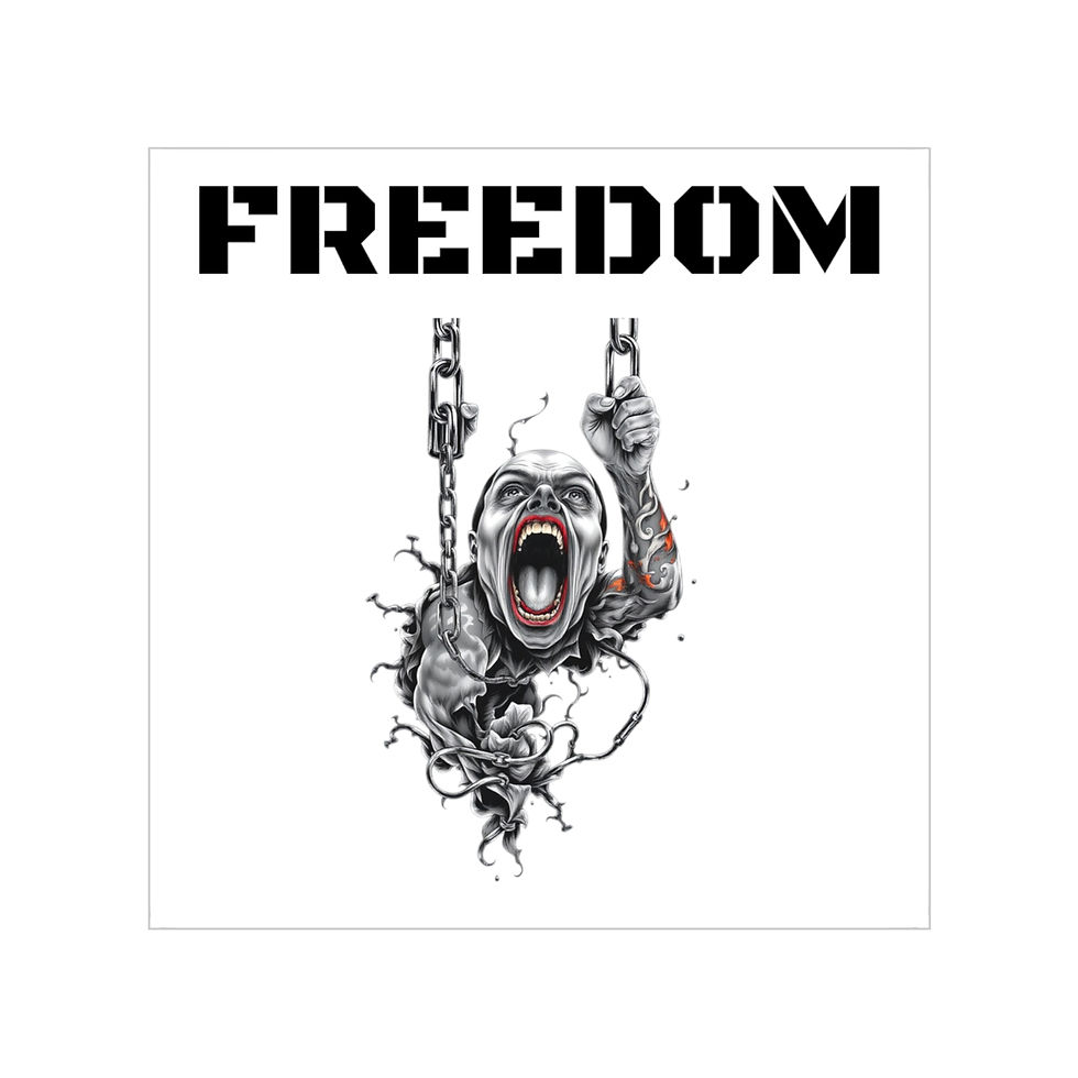 Thumbnail: Freedom Transparent Outdoor Sticker - Bold Design for Cars & Gear