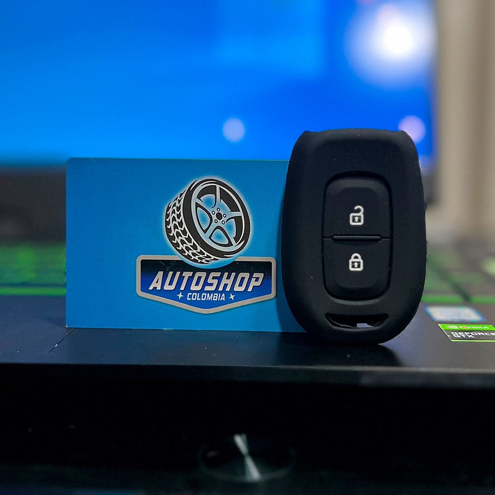 Miniatura: PROTECTOR LLAVE RENAULT