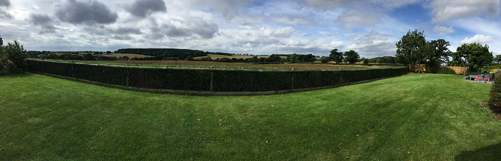 Arley Wood