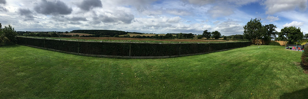 Arley Wood