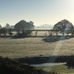 Views from the day and life of Nuneaton Tree Surgeons!