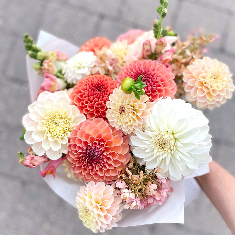 Fall Dahlia Subscription (6 Weeks)