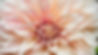 unnamed (1)_edited_edited.jpg