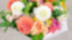 unnamed (8)_edited.jpg