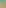 skillsRyzer-1.png