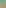 orgRyzer-1.png