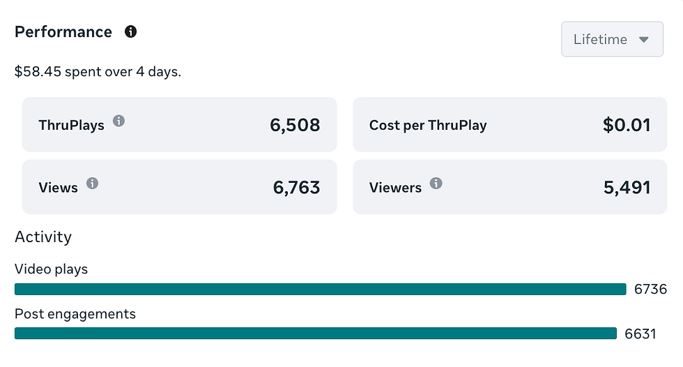 Instagram marketing performance analytics showing engagement and views from estate jewelry campaign