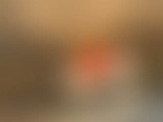 Whipped Cream Frosting on chocolate sourdough parfait with raspberries and homemade sourdough discard graham crackers