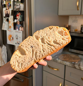 garlic and sourdough, bread, focaccia bread, homemade bread.jpeg