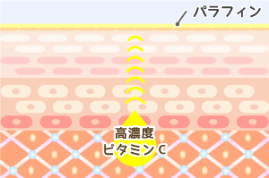 高濃度ビタミンC誘導体 透明感アップ イメージ図 マイトリ