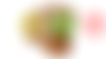 Customer Satisfaction Survey Results