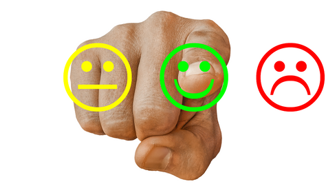 Customer Satisfaction Survey Results