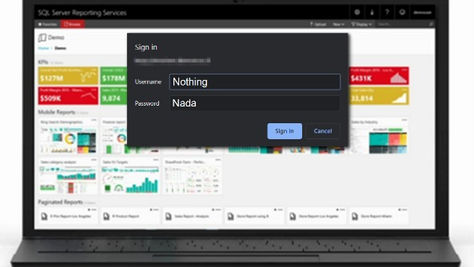 Overriding the Authentication in SSRS for External Access