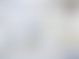 Schimmel & Feuchtigkeit in der Wohnung: Ursachen, Sofortmaßnahmen und dauerhafte Lösungen